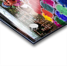 Nepal. Kathmandu. Pashupatinath Acrylic print