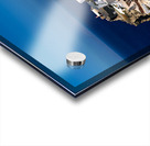 Oia Santorini: white cliffside village windmills and deep blu Acrylic print