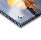 Sydney Opera House illuminated at dusk with harbor reflections. Acrylic print