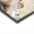 Children playing in Palmwag Kunene Region Damaraland Namibia Acrylic print