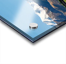 Cattles grazing in the countryside of New Zealand Southern Alps Acrylic print