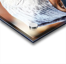 Veiled Moroccan woman in Marrakesh market on a sunny day Acrylic print