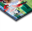 Wrestling games at Naadam festival in Ulaanbaatar Mongolia Acrylic print