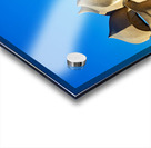 Visit Casa Mila in Barcelona a work by Gaudi Acrylic print