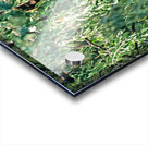 Life in Kalash Village of Bumburet Valley during day Acrylic print