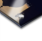 Sunset view over Badshahi Mosque in Lahore Pakistan Acrylic print