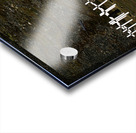 Crosses marking graves in Longyearbyen Svalbard Archipelago Acrylic print