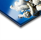 PISA 00020b Acrylic print