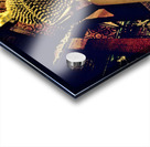 Big Buddha statue inside Wat Pho temple in Bangkok Thailand Acrylic print