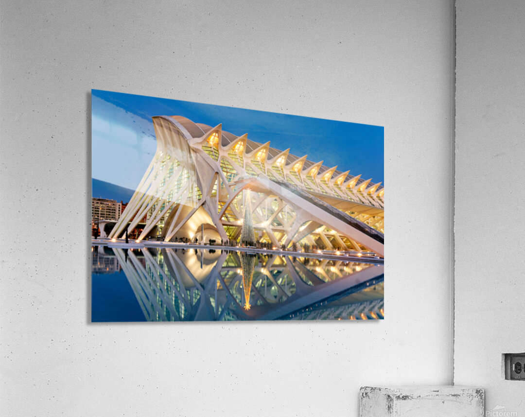 Visit to Museu de les Ciències Príncipe Felipe in Valencia Spa Acrylic Print
