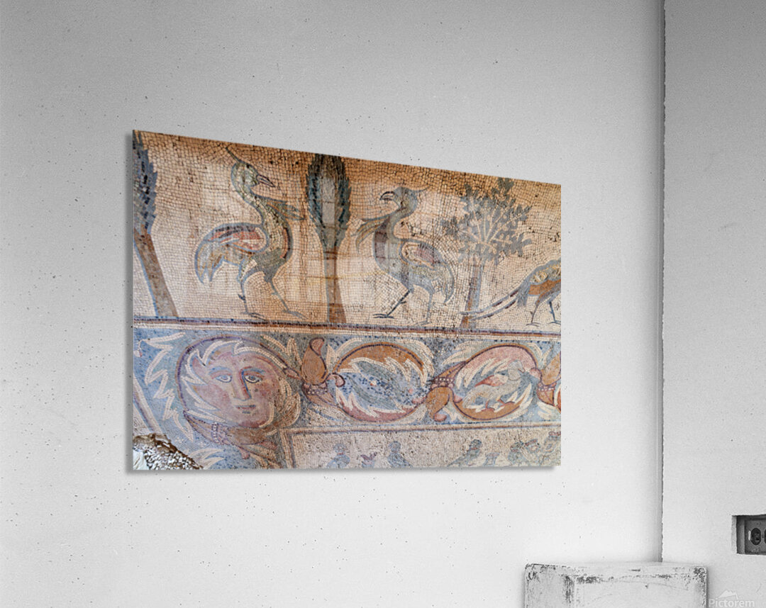 Mosaics on the floor of the Apostles Church in Madaba Jordan Acrylic Print