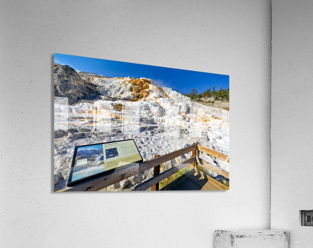 Visit to devils thumb in yellowstone national park Acrylic Print