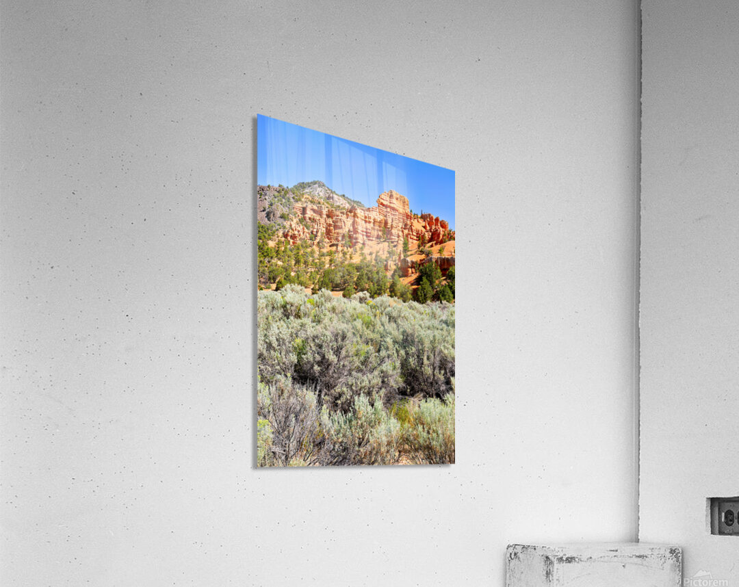 Visit Dixie National Forest in Utah with red rock formations Acrylic Print