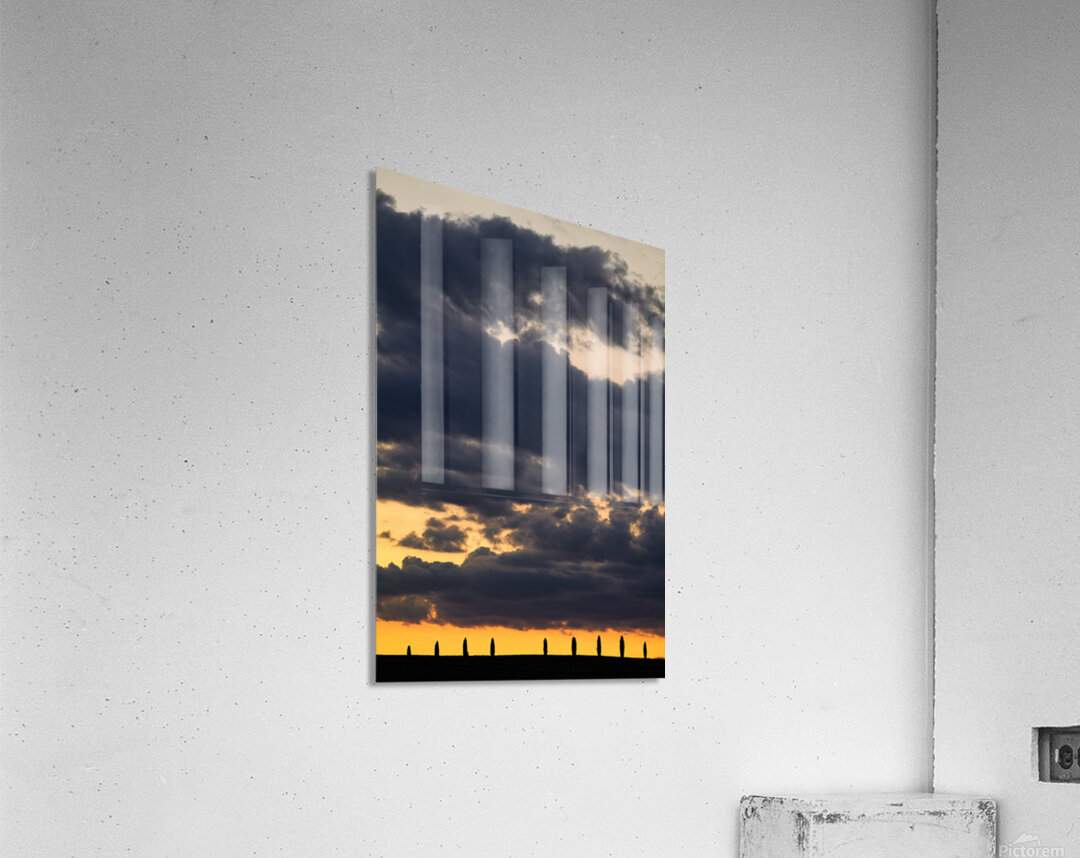 Sunset in Val dOrcia with cypresses in Tuscany Italy Acrylic Print