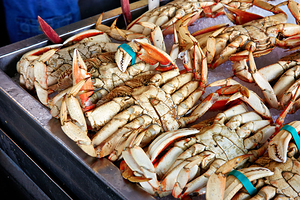 Dungeness crabs on display at Fishermans Wharf