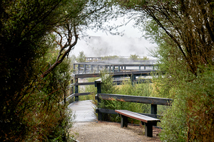 Explore geothermal trails in Whakarewarewa Rotorua New Zealand