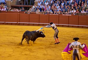 Bullfight taking place in Seville Arena in Andalusia Spain