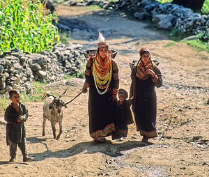 Life in Bumburet Valley Kalash Village during daily activities
