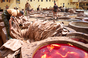 Workers dye leather at Chouara Tannery in Fez Morocco during the