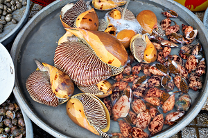 Seafood market in Phu Quoc with shells and clams for sale