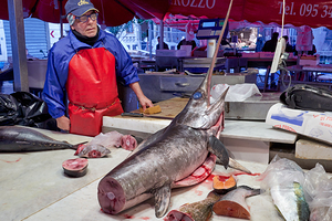 Explore Catanias Piscaria market for seafood and local goods