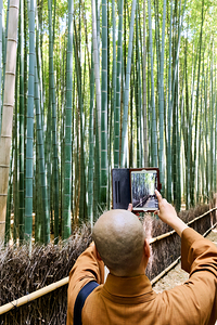 Buddhist monk takes pictures in Arashiyama Bamboo Grove in Japan