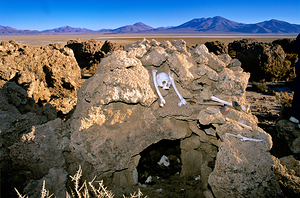 Skull and bones in a desert rock tomb. by Marco Brivio