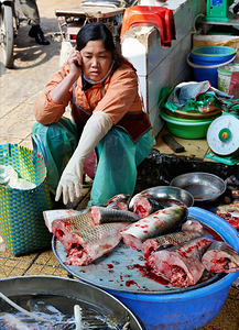 Fish vendor works at market in Hanoi Vietnam by Marco Brivio