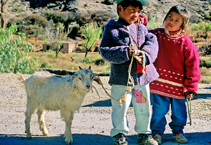 Children with a goat in a village in the Andes Mountains of Arge