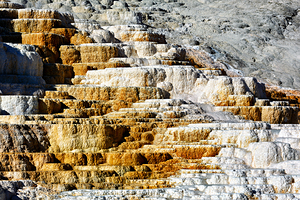 Devils Thumb in Yellowstone features unique rocks