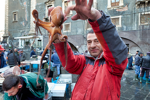 Daily market activity at Piscaria in Catania Sicily Italy
