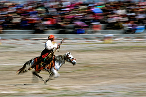Equestrian rider on a horse races in front of a large crowd in T