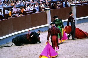 Bullfighters perform in Las Ventas Bullring Madrid