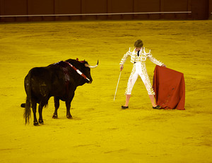 Bullfight in Seville Arena during evening event