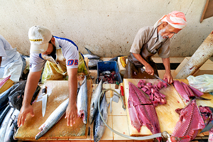 Fish market in Muscat Oman shows workers preparing fish