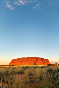Uluru bathed in golden sunset light Australia.
