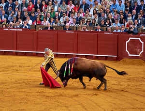 Bullfight event in Seville Arena of Andalusia Spain