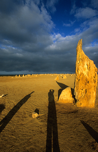 Photographers shadow falls on the Pinnacles desert at sunset.