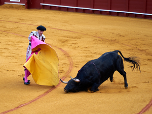 Bullfight at seville arena in andalusia spain
