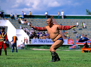 Wrestling match during Naadam festival in Ulaanbaatar Mongolia by Marco Brivio