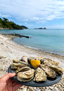 Oysters served on the beach in Cancale Brittany France
