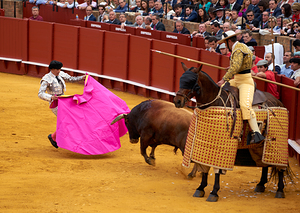 Bullfight event in Seville Arena in Andalusia Spain