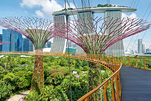 People walking on bridge to Supertree Grove in Gardens by the Ba