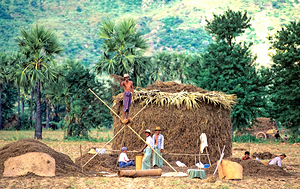 Farm workers gather and store hay in Myanmar countryside by Marco Brivio