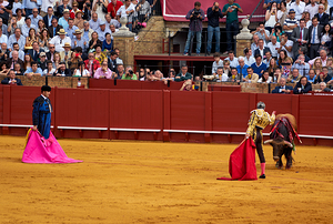 Bullfight event in Seville Arena during summer afternoon