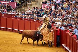 Bullfight event in Seville Arena takes center stage in Andalucia