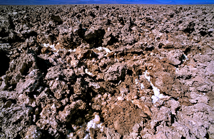 Salt encrusted desert floor under a bright blue sky.