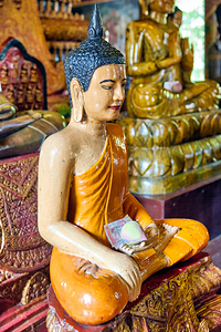Seated Buddha statue with money and lotus offering.