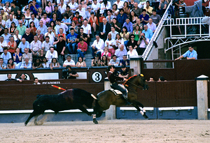 Bullfight in Madrid Spain with spectators watching closely