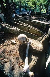 Exploring a Kalash cemetery in Bumburet valley Pakistan by Marco Brivio